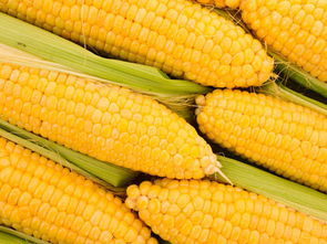 找蔬菜配送就找金六穗餐饮 西南有机蔬菜配送与餐饮管理一体化服务